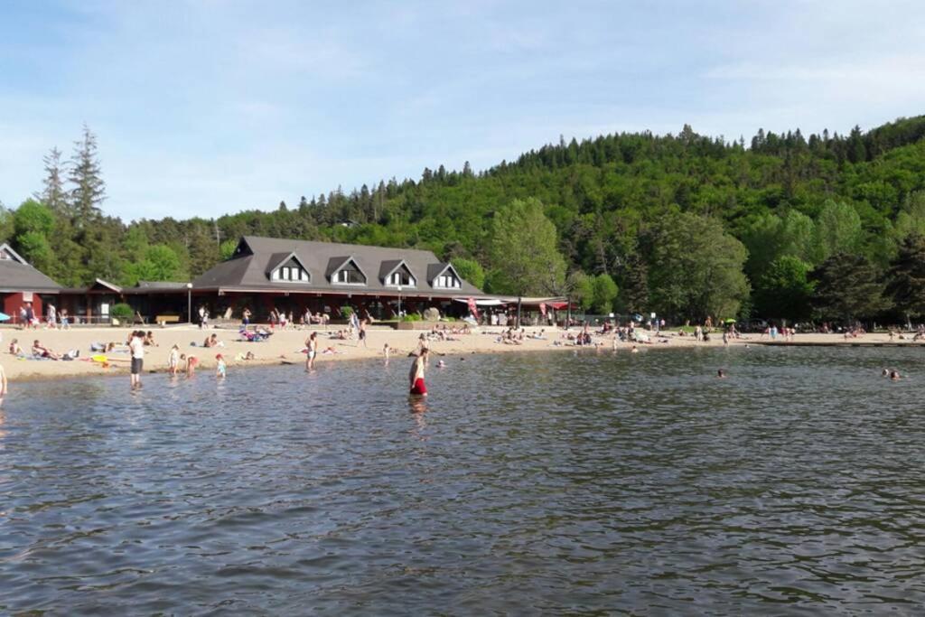 Cure Thermale Ou Vacances D'Ete Au Mont Dore Ngoại thất bức ảnh